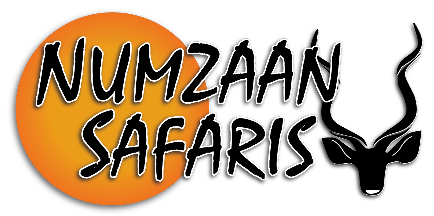 numzaan logo